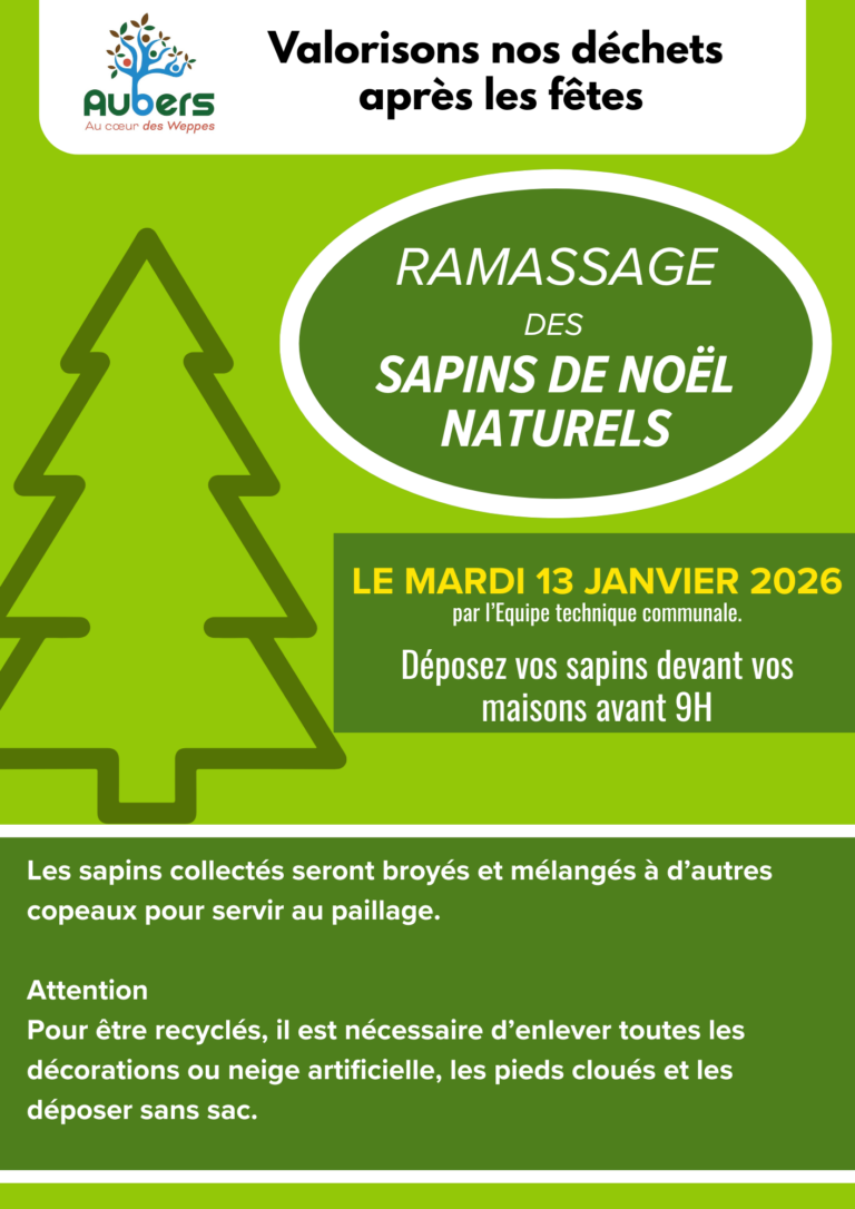 Copie de Affiche A4-A3 2024 (Communication) (2)