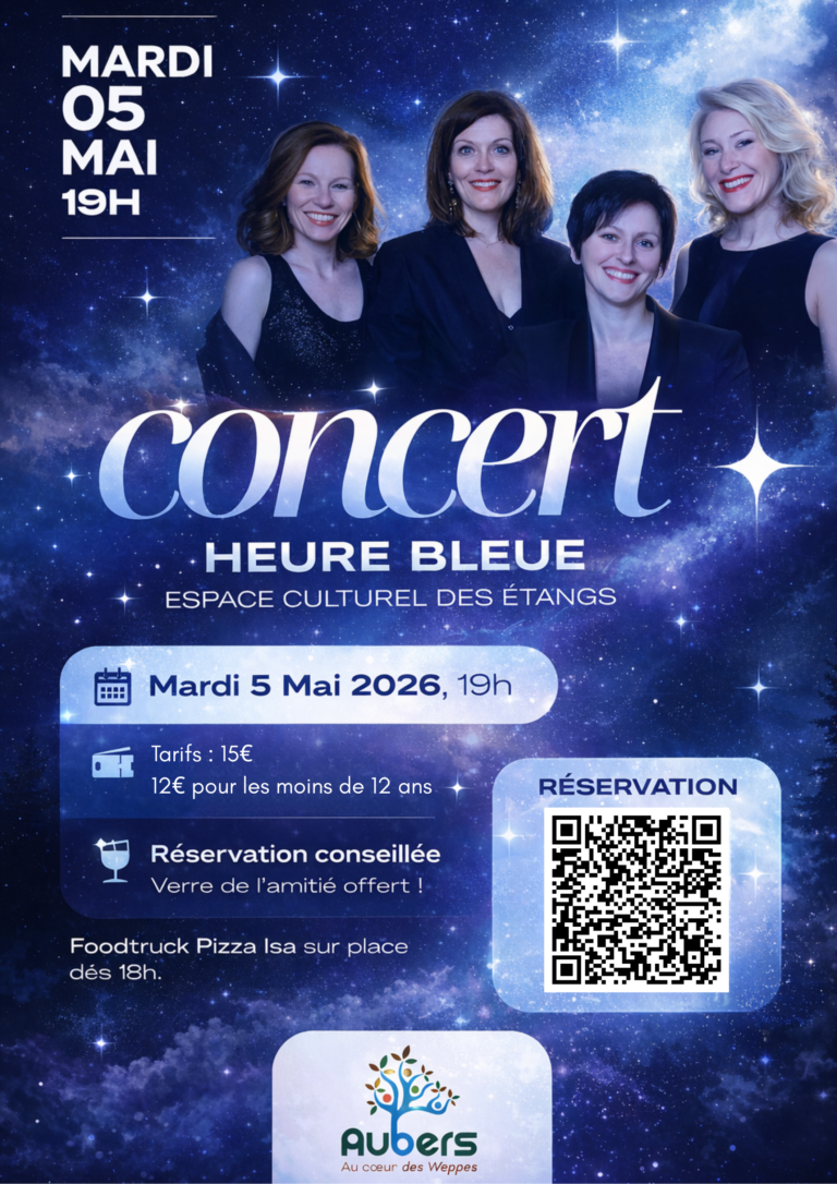 Affiche Dîner concert photo minimaliste bleu (1)