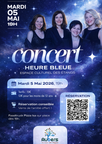 Affiche Dîner concert photo minimaliste bleu (1)